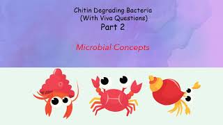 Isolation of CHITIN DEGRADING BACTERIA 2 viva ques  Chitinase enzyme assay  MSc practical series [upl. by Charleen532]