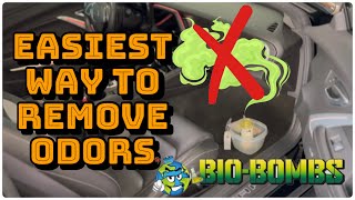 EASIEST Way To Remove Odors From Your Car NonToxic amp Effective [upl. by Yesnek874]