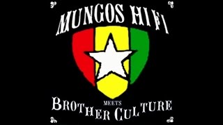 Mungos Hi Fi  Flagpole dub ft Brother Culture [upl. by Eelnodnarb]