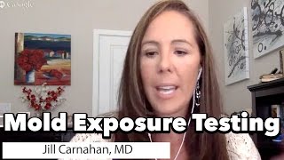 Mold Testing amp Mold Toxins by Dr Jill Carnahan [upl. by Nosyaj]