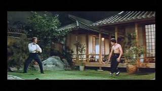 KungFu Bruce Lee vs Robert Baker [upl. by Jola910]