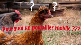 Pourquoi un poulailler mobile [upl. by Anaujal]