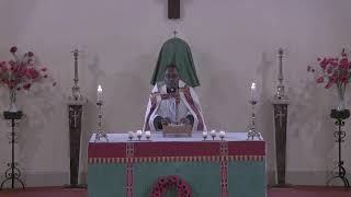 St Osmunds Exposition and Benediction of Blessed Sacrament for Life Wed 13 Nov 2024 1730 [upl. by Tremml]