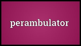 Perambulator Meaning [upl. by Eloccin]