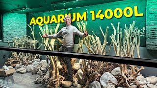 C’est la galère je commence le décor  Aquarium de 14000 Litres 15 tonnes de roches [upl. by Jolee364]