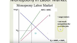 Monopsony Labor Market [upl. by Dunkin]