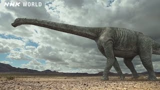 The Colossal Tambatitanis  DINOSAURS [upl. by Vail]