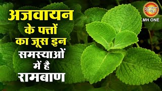 अजवायन के पत्तों का जूस इन समस्याओं में है रामबाण  Ajwain ke fayde  Ayurveda Chikitsa [upl. by Air]