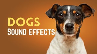 Dog Sound Effects  Realistic audioHD Audio [upl. by Neeruam]