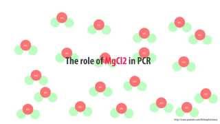 The role of MgCl2 in PCR  simple animated HD [upl. by Loux]