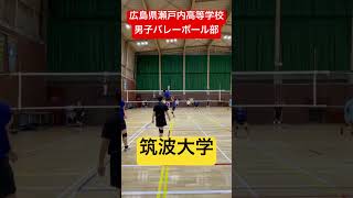 筑波大学 shorts short 瀬戸内高校男子バレーボール部 筑波大学 亀岡聖成 牧大晃 [upl. by Judah]