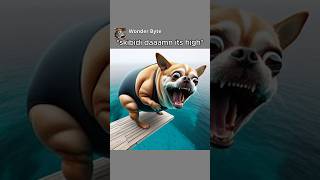 Chihuahua jumps off the HIGHEST diving board 😱🤯 Watch the BIG SPLASH memes funny chihuahua [upl. by Solhcin]