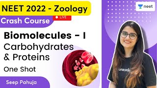 Biomolecules 1  Carbohydrates amp Proteins One Shot  Seep Pahuja  Unacademy NEET  NEET 20222023 [upl. by Hen900]