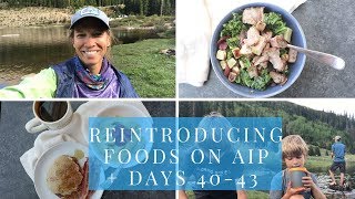 Reintroducing Foods on AIP  What I ate on Autoimmune Paleo Days 4043 [upl. by Alexandr830]