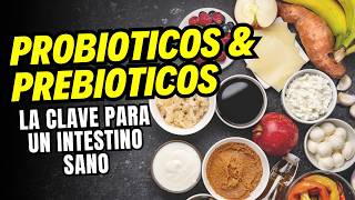 PROBIOTICOS Y PREBIOTICOS ¡Transforma tu salud intestinal✅ [upl. by Kitty]