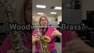 Should it be called a woodwind 🤔 banddirector band woodwind flute brass clarinet trumpet [upl. by Recnal]