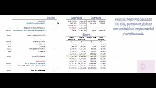 Pagos Provisionales Personas Físicas con Actividad empresarial y Profesional 2021 [upl. by Janel]