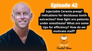 Ep 42 Injectable Cerenia preop Indications for deciduous tooth extraction and many more questions [upl. by Airdnua133]