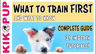 Puppy Training  What to train first [upl. by Jourdan]