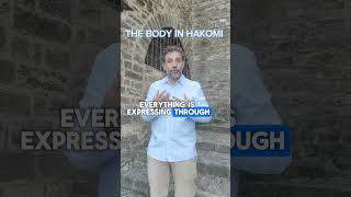 The use of the Body in Hakomi Method David Medina [upl. by Quennie]