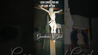 JESUS CHRIST YOU ARE MY LORD MY GOD 🙏 GOODNESS OF GOD shortsfeed jesus shortsvideo shorts [upl. by Dnalloh]