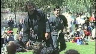 Masters Bujinkan shows techniques ninpo taijutsu [upl. by Pincus]