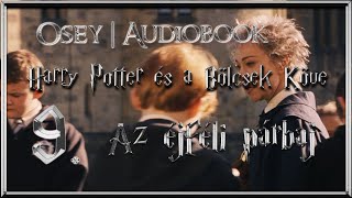 Harry Potter és a Bölcsek Köve hangoskönyv  9 fejezet [upl. by Odnomor]