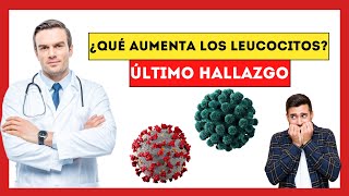 La Conexión Secreta entre Glóbulos Blancos y Enfermedades Fatales [upl. by Rosina938]