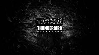 Thunderbird Releasing 2018 [upl. by Maier]