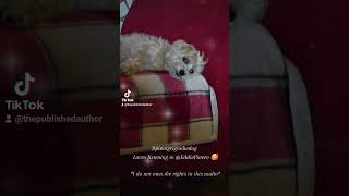 Pinot Grigio loves listening to Yourworldwithin 😁 pets inspiration motivation dog doglover [upl. by Cohlier]