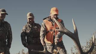 Rifle Elk Season Colorado  1st Season 23 Hunt Highlight [upl. by Doniv]