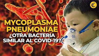 MYCOPLASMA PNEUMONIAE la BACTERIA que generó el BROTE DE NEUMONÍA EN NIÑOS de China  El Comercio [upl. by Lahcim890]