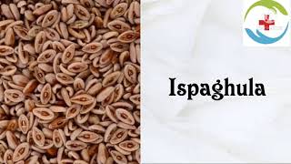 Ispaghula Drug [upl. by Yanehc826]