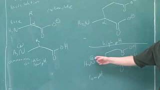 Organic chemistry Amino acids and peptides 2 [upl. by Esikram]