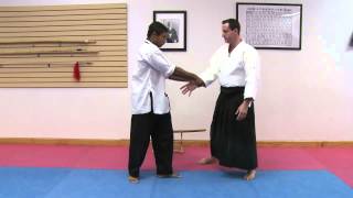 Aikido White Belt Techniques [upl. by Geller]