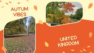 Autumn in the UK is more than just a season  its a vibe [upl. by Gillett]