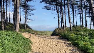 Newborough Forest and Llanddwyn beach Anglesey [upl. by Thrasher465]