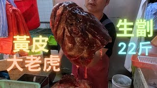 黃皮大老虎22斤😍皮爽肉甜用幾粒鹽妙已經勁好食fishcutting香港海鮮社長遊街市Seafood [upl. by Wilone281]