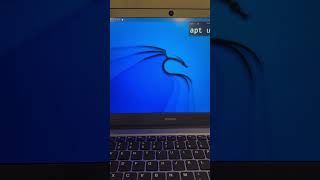 Updating Kali Linux Kali Linux Kalilinux Computer [upl. by Esch]