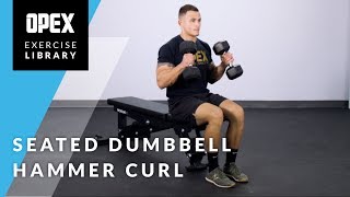 Seated Dumbbell Hammer Curl  OPEX Exercise Library [upl. by Odnalor671]