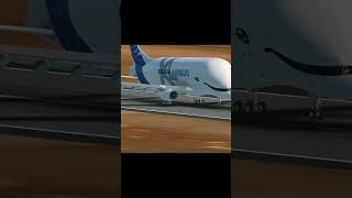 Airbus Beluga a330 late landing in uzbekistan rfsflight pilot airport shorts [upl. by Lamb]