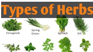 Types of Herbs different types of Herbs Names  Herbs  lunatic Cook [upl. by Suravart]