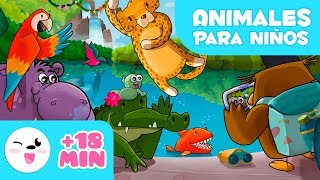 Los ANIMALES para niños 🦓🐯 Recopilación 🐬🐘 LEÓN PINGÜINO TORTUGA ABEJA JIRAFA [upl. by Aniram937]