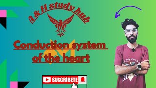 Conduction system of heart  Action potential of heart  cardiovascular system part 03 [upl. by Aizahs394]