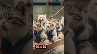 cats in boats trending viral [upl. by Kowal600]