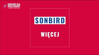 Sonbird  Więcej [upl. by Fran]