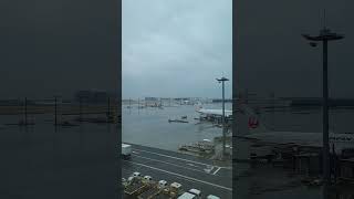 HANEDA Airport VIP Lounge Views 羽田空港VIPラウンジの眺め [upl. by Lunna]