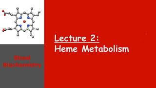 Blood Biochemistry  Heme Metabolism [upl. by Yremogtnom]