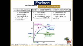 EXPLICACIÓN FACÍL y RÁPIDA de las ENZIMAS [upl. by Raddie]