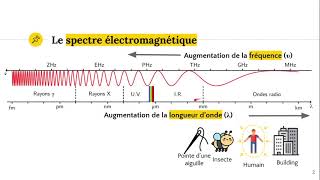 Le spectre électromagnétique [upl. by Cirad]